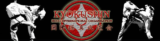 kyokushin-budo-banner.jpg